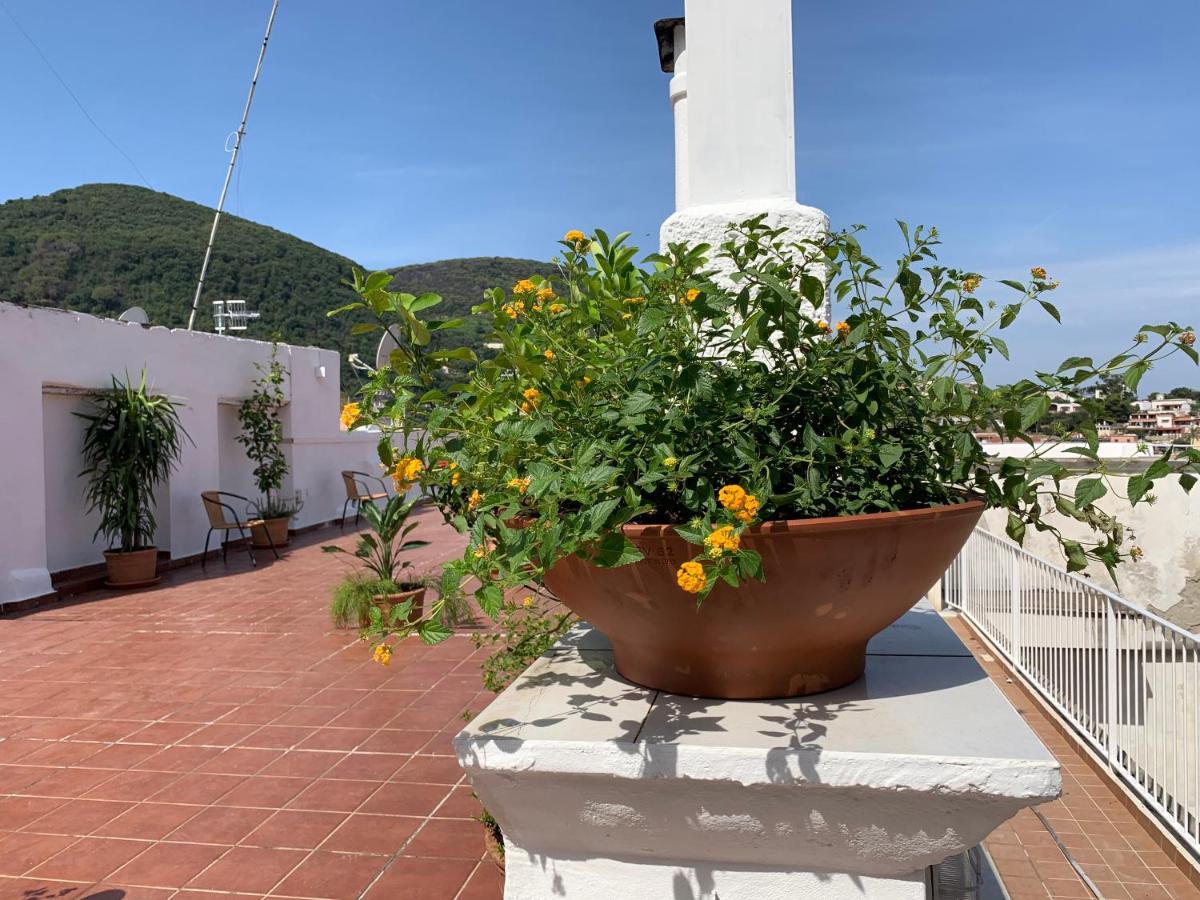 Molo35 Bed & Breakfast Ischia Dış mekan fotoğraf